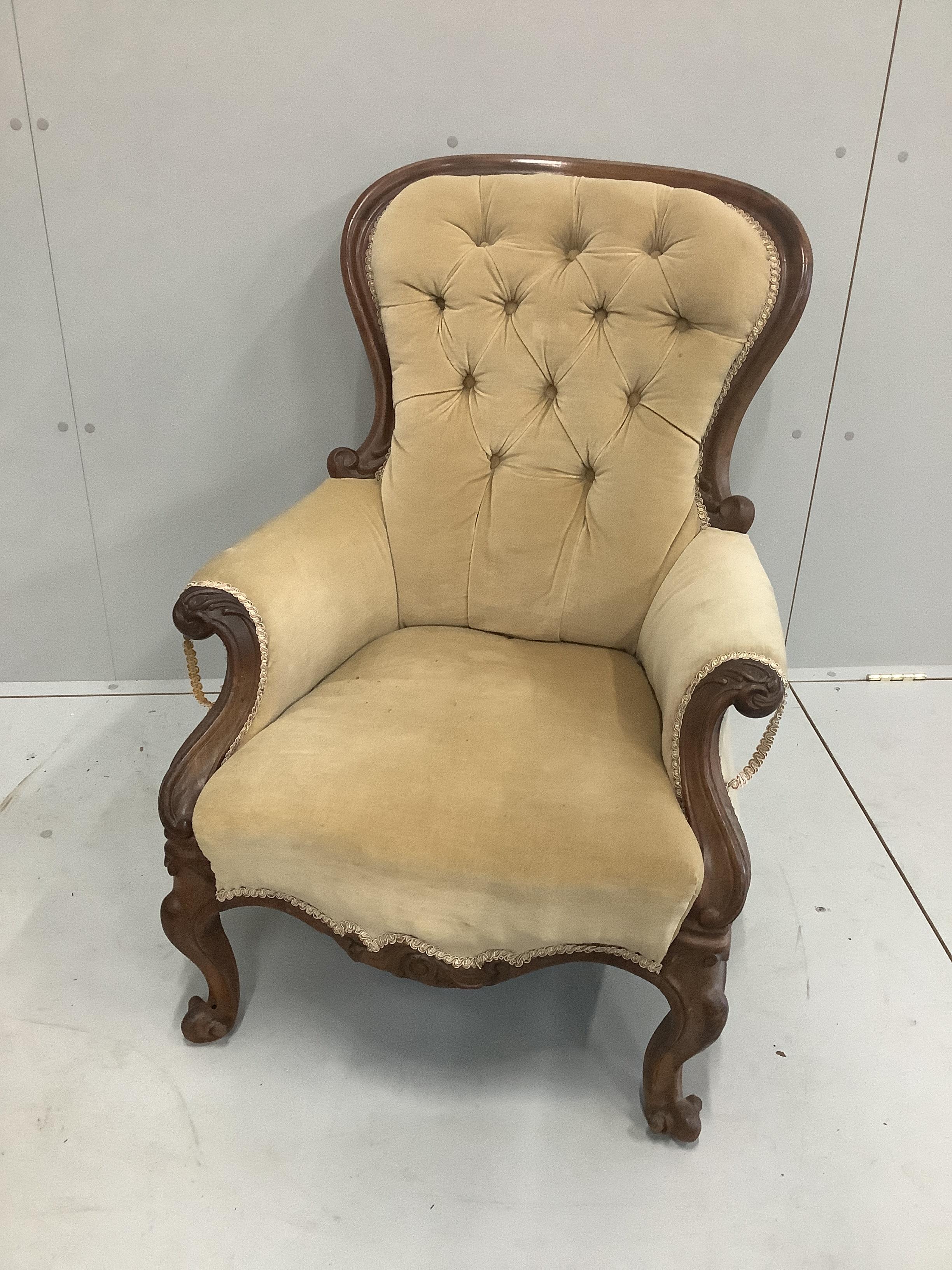 A Victorian carved mahogany button back armchair